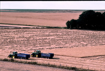 after the harvest