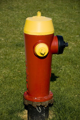 red and yellow hydrant on a suburban street