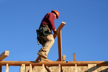 construction,carpenter