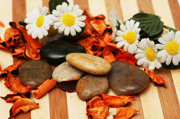 stones, petals and flowers for aromatherapy session