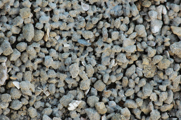 pebbles of various shapes  - can be used as background