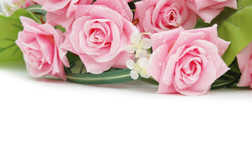roses on the white  - use copyspace for your text