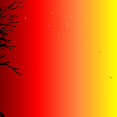 Obraz premium colors of autumn