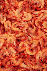 fresh shrimp
