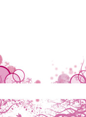 background - frame - flower