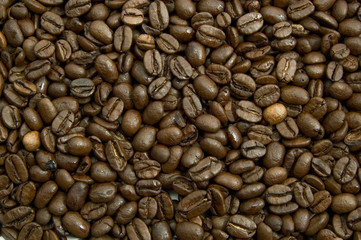 coffee beans