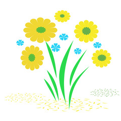 yellow flower garden