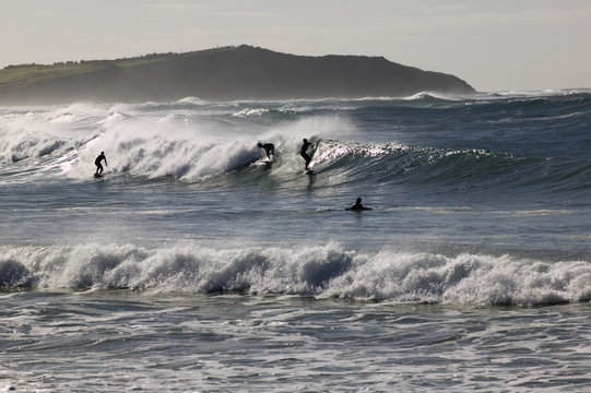 Dee Why Surfers