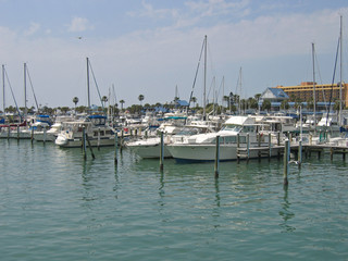 Obraz premium marina