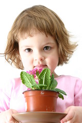 my little flower
