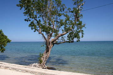 jamaica coastline