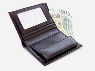 polish money