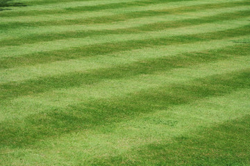 a view of a neatly mown lawn, 45 deg to the stripe