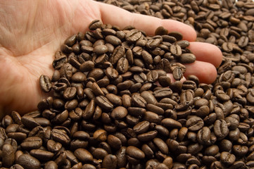 hand with coffee beans