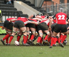 rugby