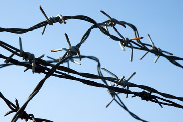 barbed wire