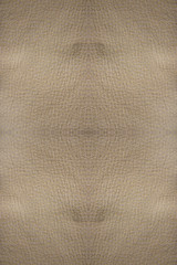 light leather background