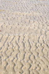 Fototapeta na wymiar ripples in the beach sand