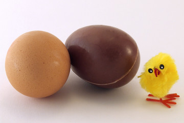 pulcino, uovo e cioccolato
