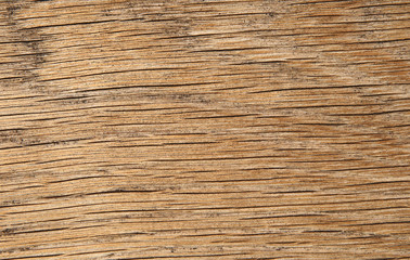 wood grain close up background.