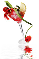 coctel tropical