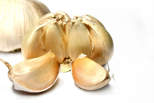 garlic