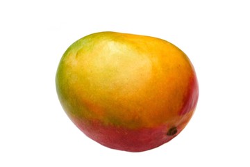 fruit of mango