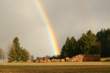 regenbogen hinter wald