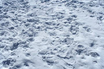 many footprints in the snow