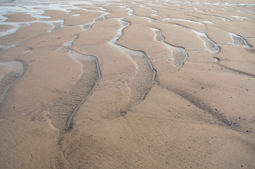 beach at ebb-tide