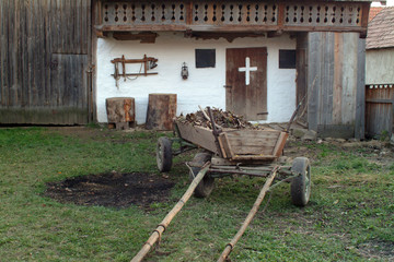 villager still life