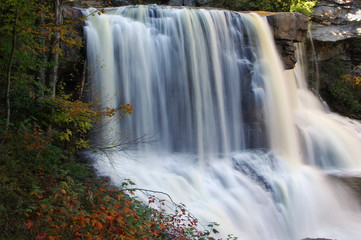 Fototapeta premium blackwater falls west virginia