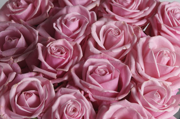 composizione di rose05