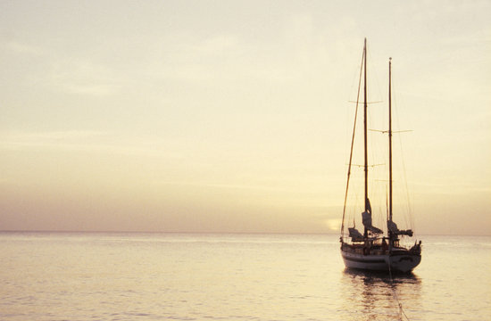 caraibi