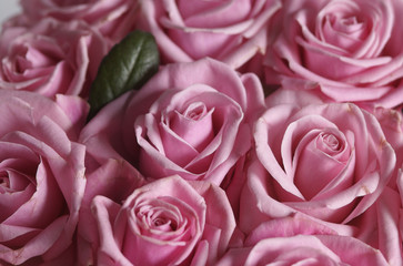 composizione di rose14