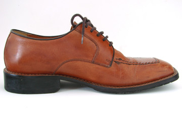 shoe