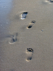 beach with footprint 1