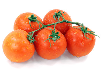 wet tomatoes