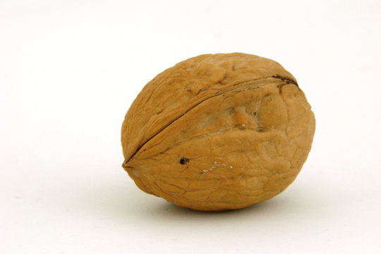 nut