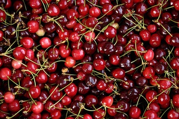 basket of cherries
