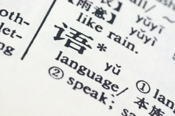 language written in chinese