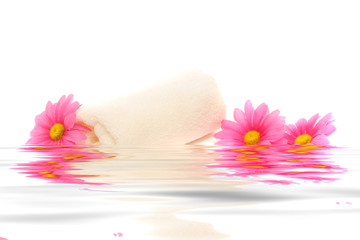 spa towel and daisy flower