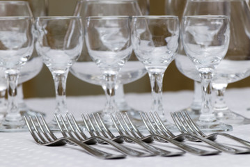 preparation for a dinner