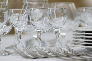 preparation for a dinner