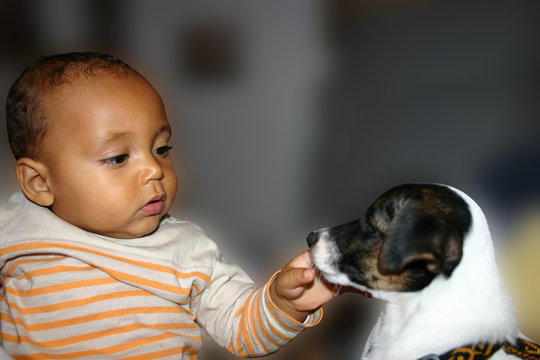 b&eacute;b&eacute; et chiot
