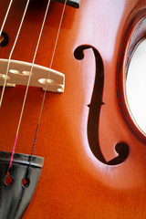 musical instruments: violin closeup showing the br
