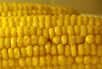 corn  chakra