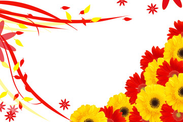 daisy flowers half frame