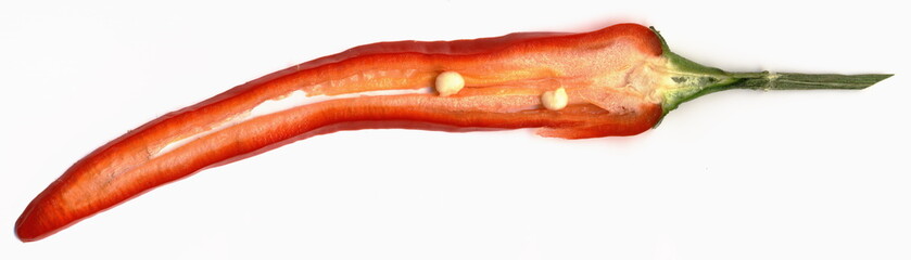 2500dpi scanning von chili schote