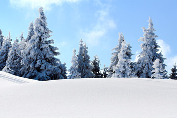 snow mountain trees
